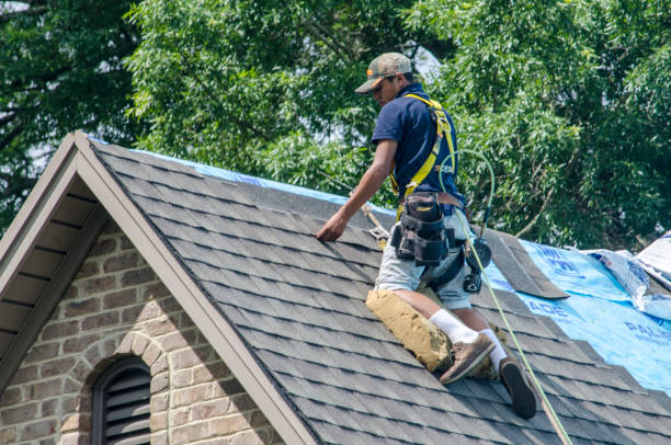 Best Roof Gutter Cleaning  in Moonachie, NJ
